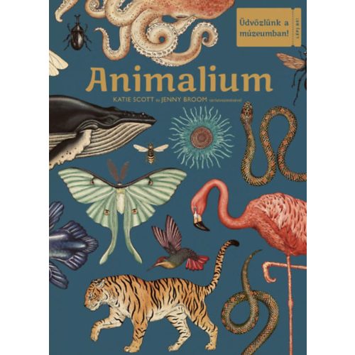 Animalium - Üdvözlünk a múzeumban!