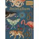 Animalium - Üdvözlünk a múzeumban!